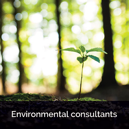Ascend Environmental Consultants