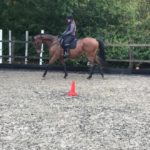 Ascend Charity Belsteads RDA